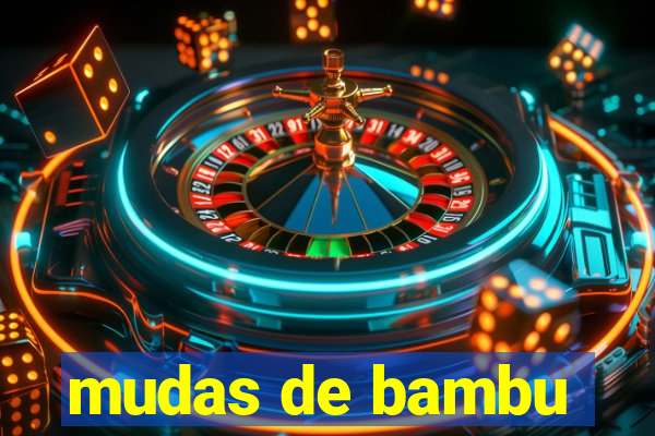 mudas de bambu